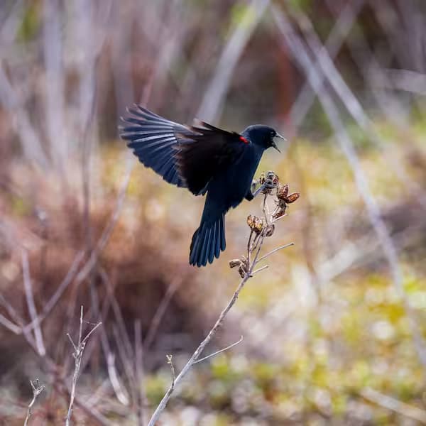 Explore,
discover, act